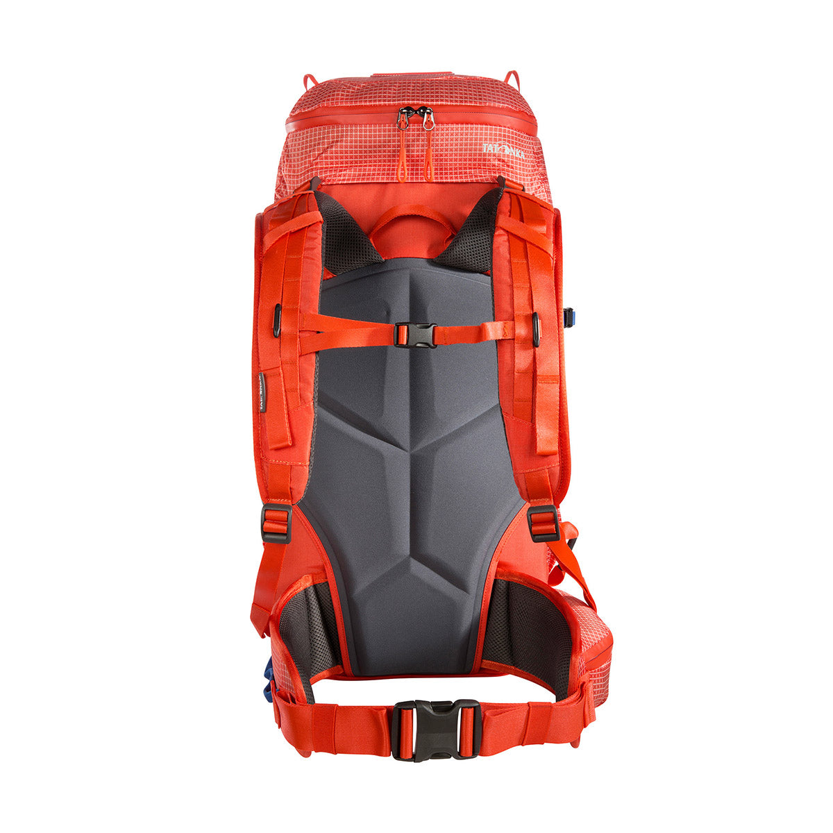 CIMA DI BASSO 40 RECCO