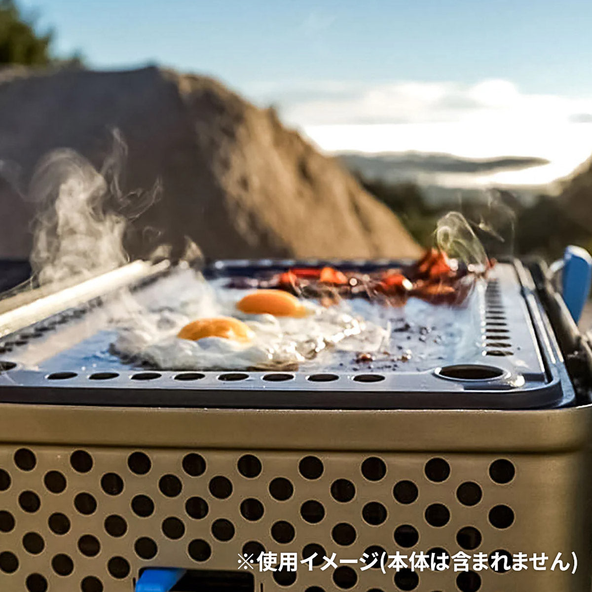 NOMAD Carbon Steel Griddle (鉄板)