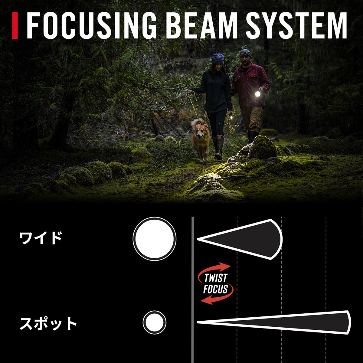 COAST コースト | HP3R ペンライト – LTJ Shop