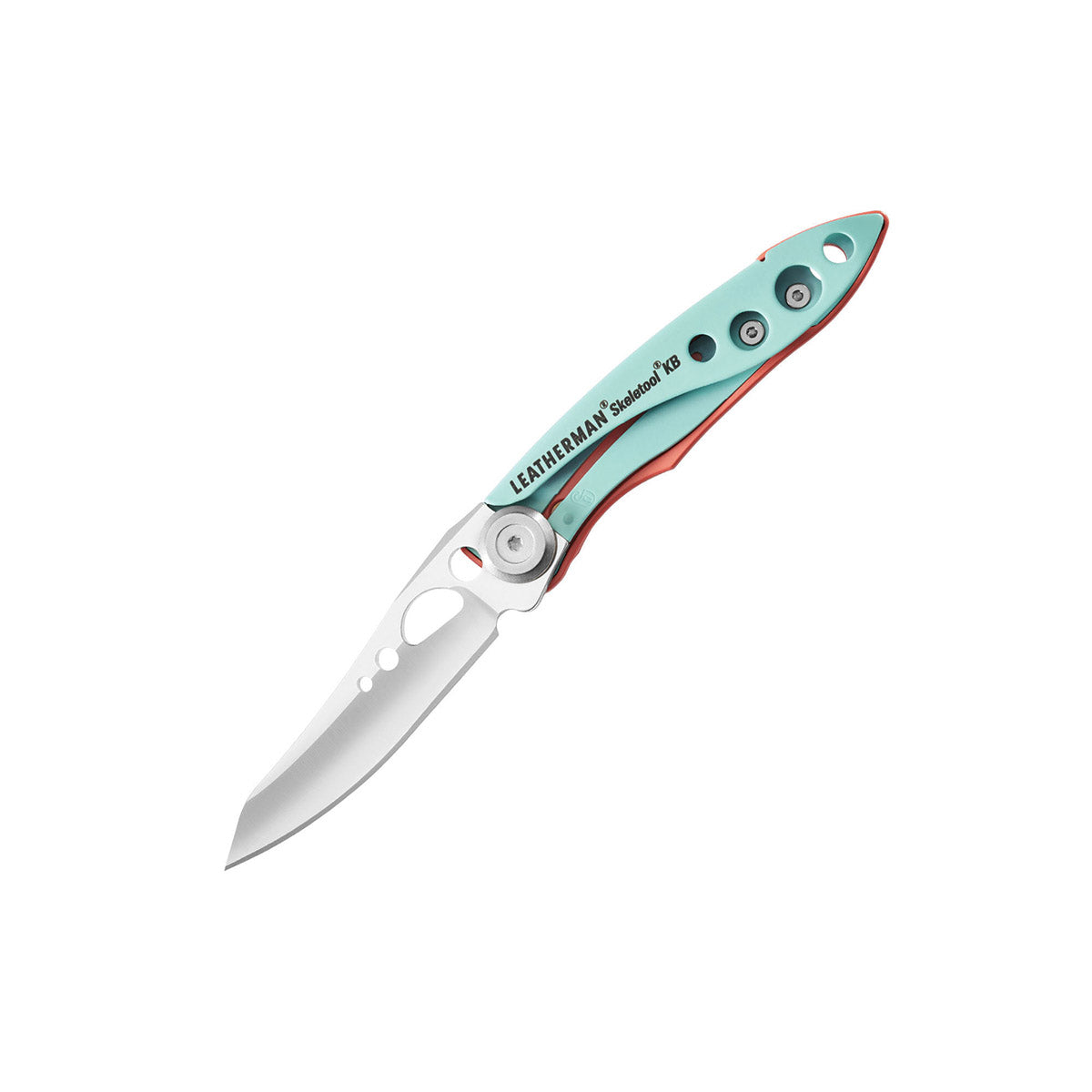 SKELETOOL KB