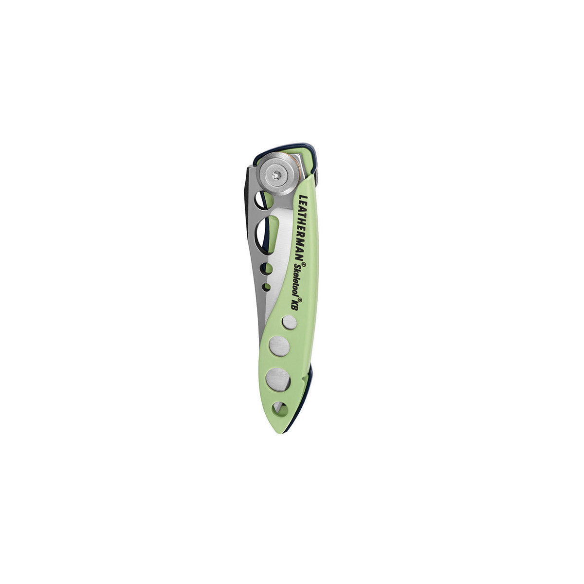 SKELETOOL KB